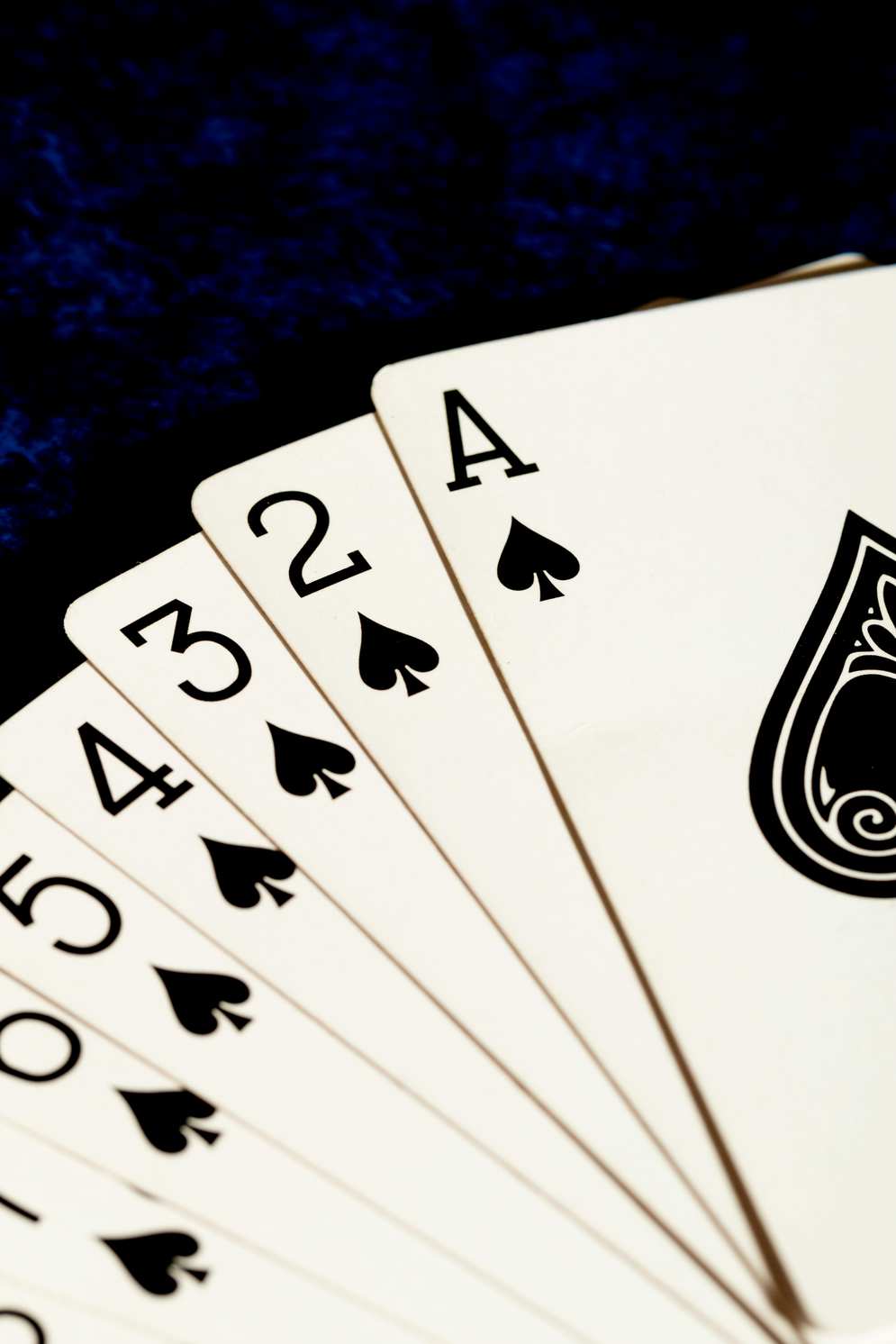 7bit casino 7bit casino